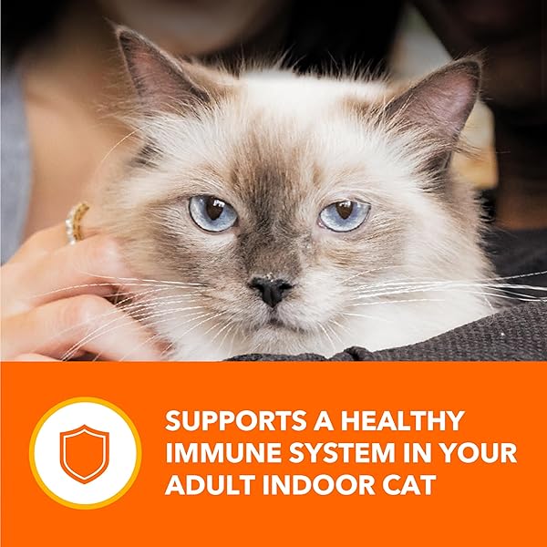 IAMS PERFECT PORTIONS INDOOR ADULT GRAIN FREE WET CAT FOOD CUTS IN GRAVY VARIETY PACK, TUNA RECIPE AND SALMON RECIPE, (12) 2.6 OZ. EASY PEEL TWIN-PACK TRAYS