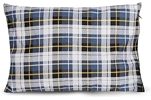 REDCAMP rc16031 Outdoor Camping Pillow Lightweight, 1 Count (Pack of 1), Blue and Grey