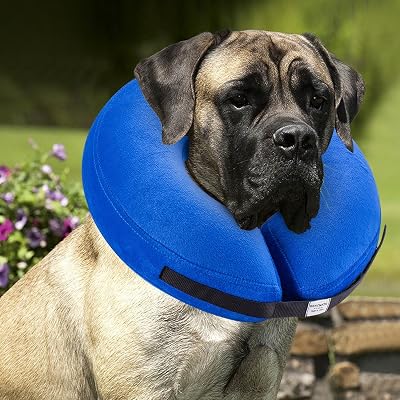 BENCMATE Protective Inflatable Collar for Dogs and Cats - Soft Pet Recovery Collar Does Not Block Vision E-Collar