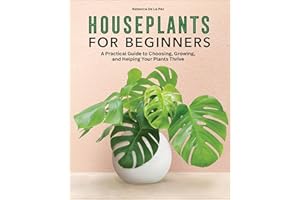 Houseplants for Beginners: A Practical Guide to Choosing, Growing, and Helping Your Plants Thrive