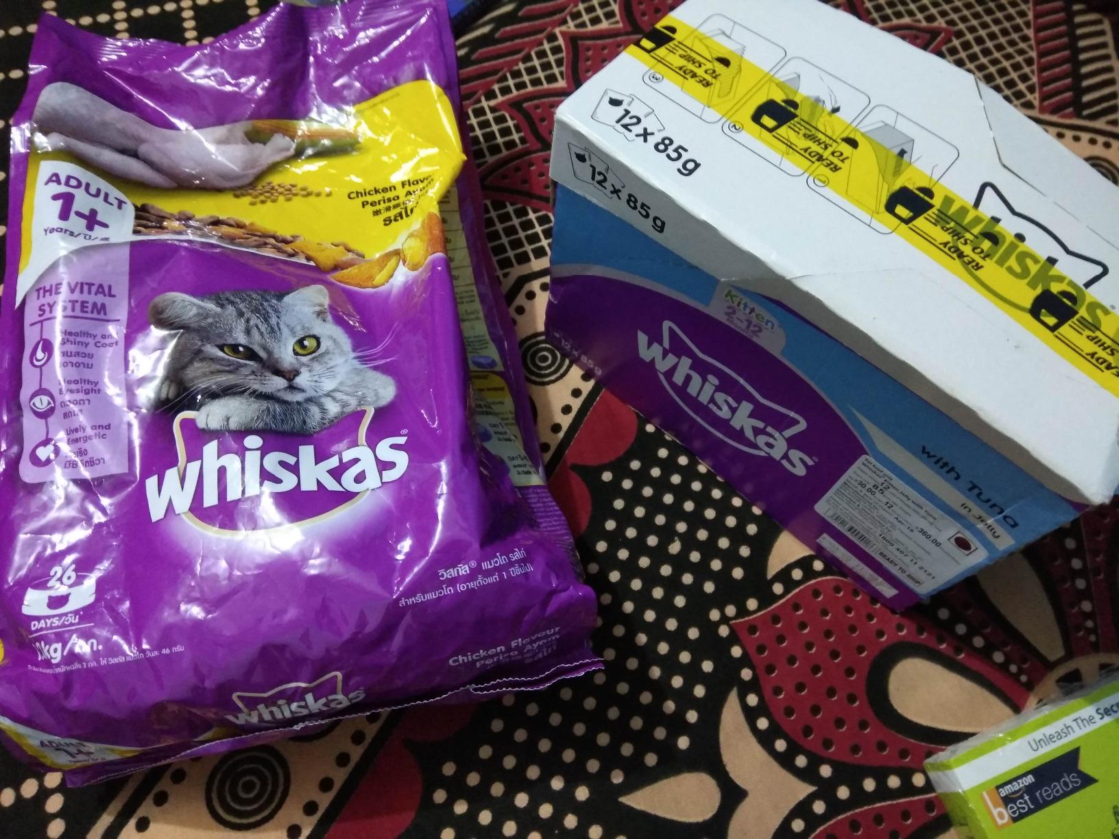 Cat Supplies Buy Cat Food, Toys, Grooming & Health Supplies Online at