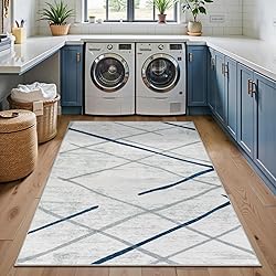 SERISSA Washable Area Rug,3x5 Soft Non Slip Indoor