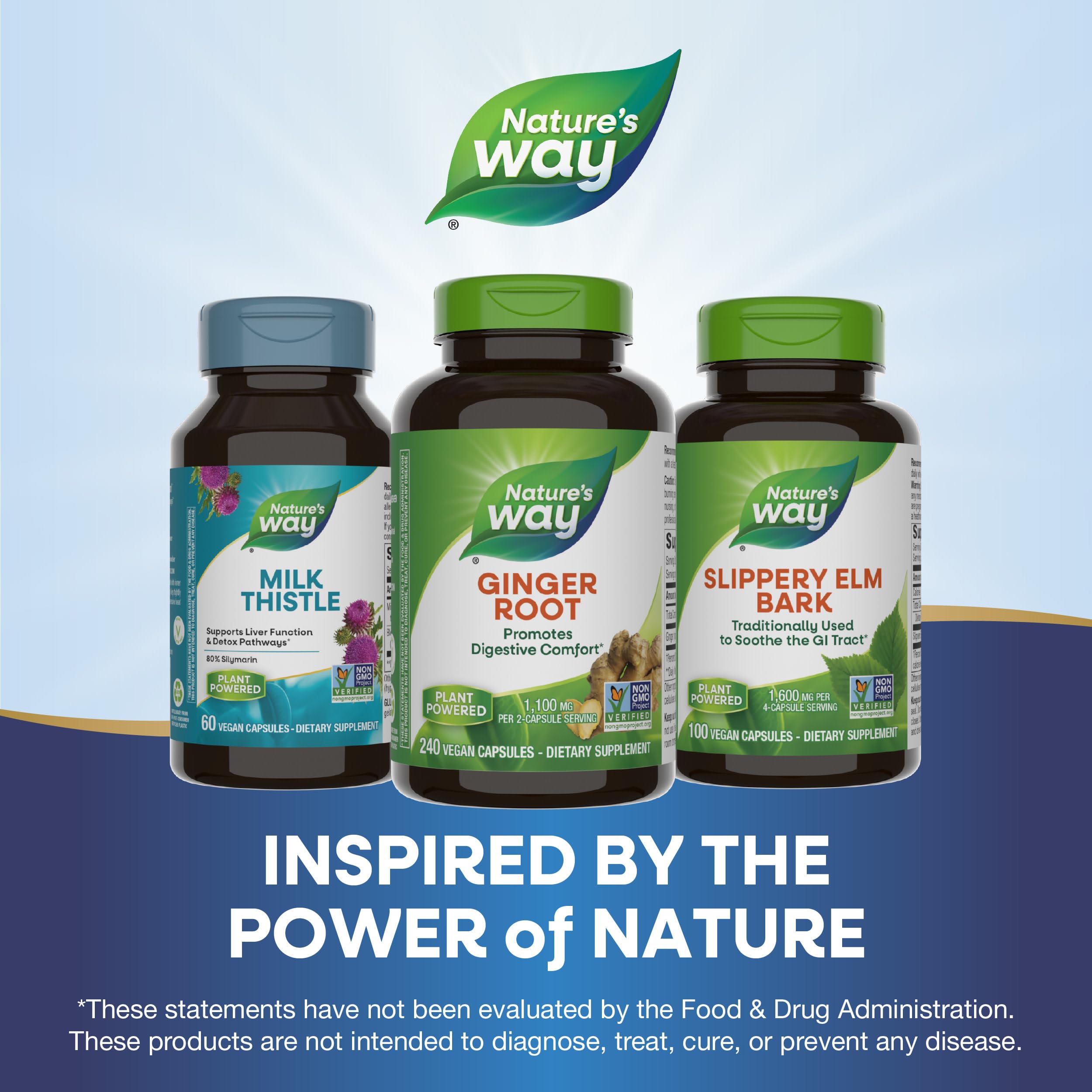 Nature's Way Ginger Root Capsules 550 mg per capsule, Digestive Comfort* Reduces Motion-Related Nausea*, 1,100 mg per 2 Capsules, Non-GMO Project Verified, Vegan, 240 Count (Packaging May Vary)