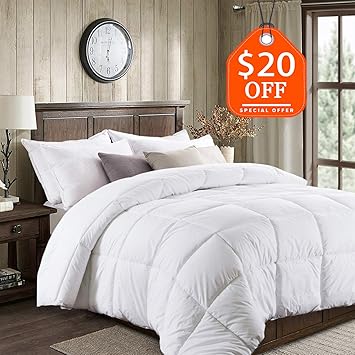Buy Basic Beyond All Season Warm Goose Down Comforter 650 Fill