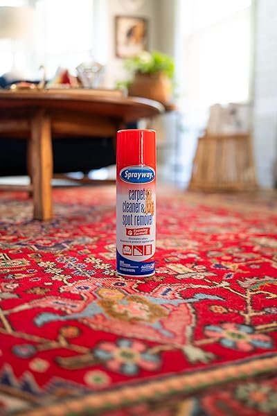 SPRAYWAY CARPET CLEANER (PET), 19OZ | REMOVES PET STAINS & ODORS, FOAMING ACTION | DEEP CLEANS CARPETS & UPHOLSTERY | FRESH SCENT, QUICK-DRYING FORMULA