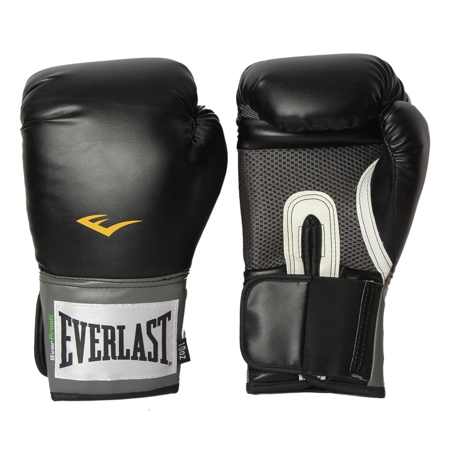 everlast ever fresh