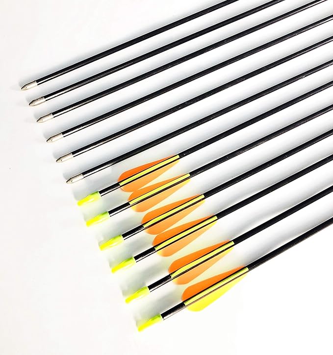Best Archery Arrows Reviews 2022 With Buying Guide