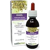 Naturalma Fennel (Foeniculum vulgare) Fruit Alcohol-Free Tincture - 4 fl oz Liquid Extract in Drops - Herbal Supplement - Vegan