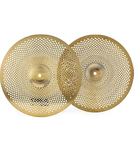 81d5jIgM9gL._AC_UL495_SR435,