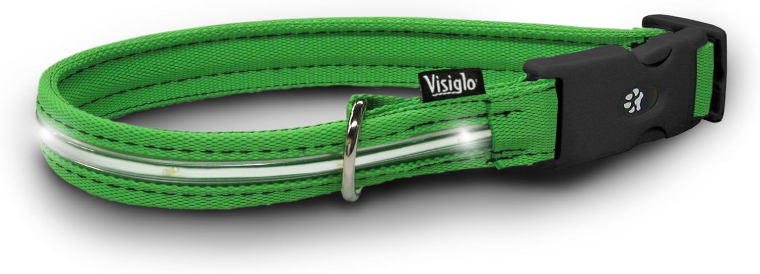 best dog food for yorkies with skin allergies