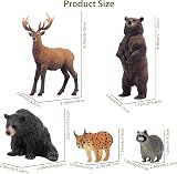 toymany 12PCS North American Forest Animal Figurines Realistic Toy Set view 5