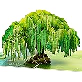 POPWOW Willow Tree Pop Up Card, Ancient Tree, 3D Greeting Cards, Gift For Fathers Day, Retirement, Birthday, Mothers Day, Anniversary, Thinking Of You, 5x7 - Includes Envelope And Message Note