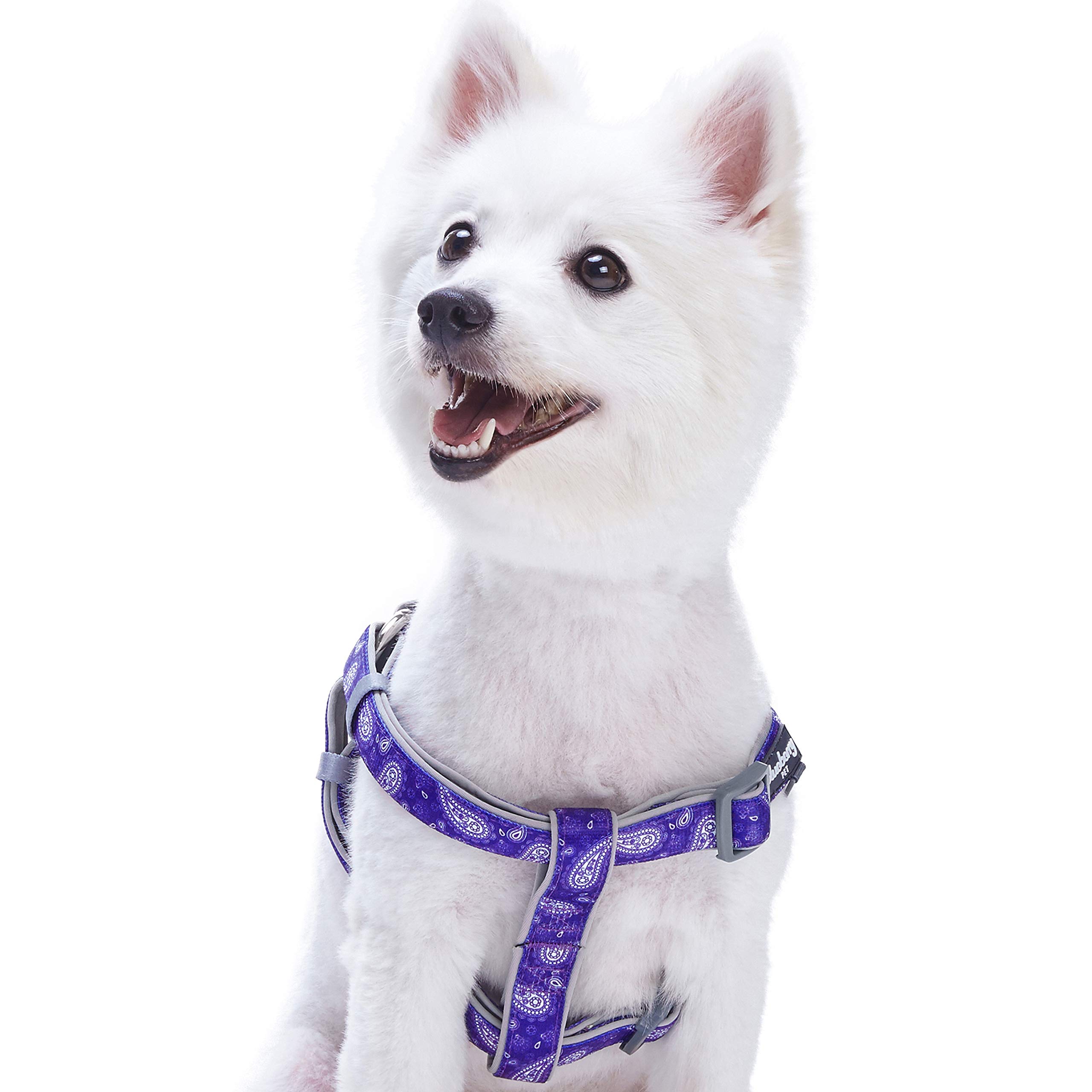 Blueberry Pet Comfy Step-in Paisley Flower Print Dog Harness, Chest Girth 42cm-54cm, Violet, Adjustable Harnesses for Dogs
