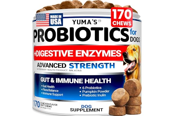 Probiotics for Dogs - 170 Chews - Helps Relieve Diarrhea, Gas & Allergies, Constipation - Dog Probiotics - Digestive & Immune