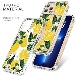 bicol for iPhone 13 Pro Max Case with Screen and