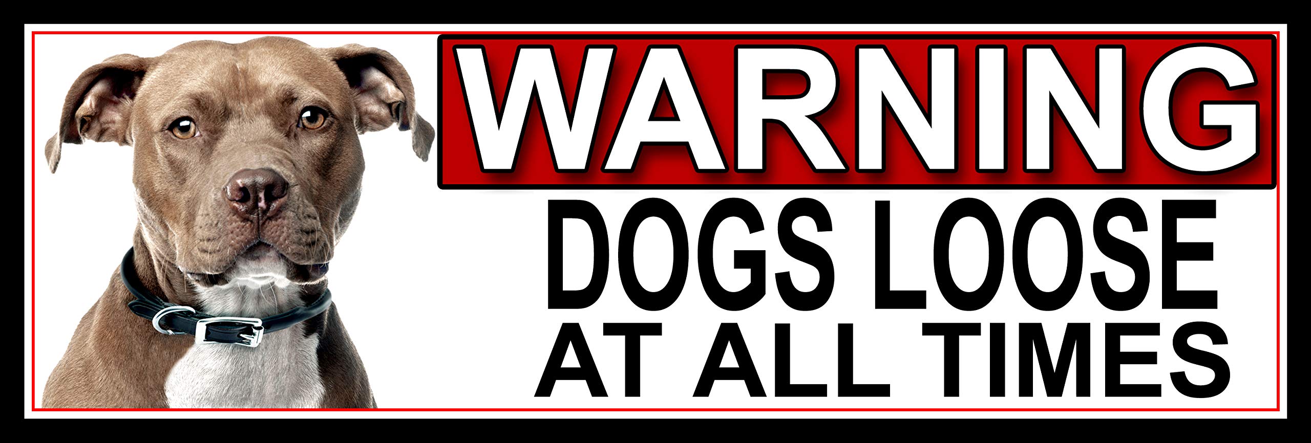 Shawprint Limited American Pit Bull WARNING DOGS LOOSE AT ALL TIMES METAL GATE SIGN 266mm x 87m. (894H2)