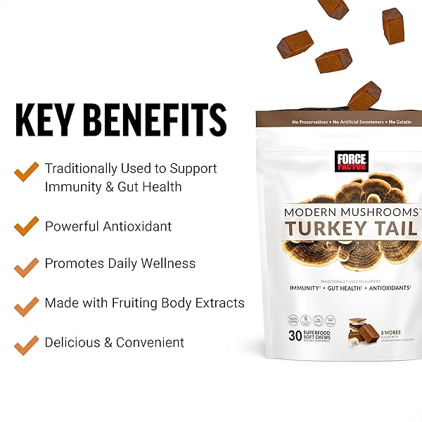 FORCE FACTOR MODERN MUSHROOMS SOFT CHEWS, TURKEY TAIL MUSHROOM SUPPLEMENT TO SUPPORT IMMUNITY, DIGESTIVE HEALTH, AND VITALITY, ANTIOXIDANTS SUPPLEMENT, DELICIOUS S’MORES FLAVOR, 30 SOFT CHEWS