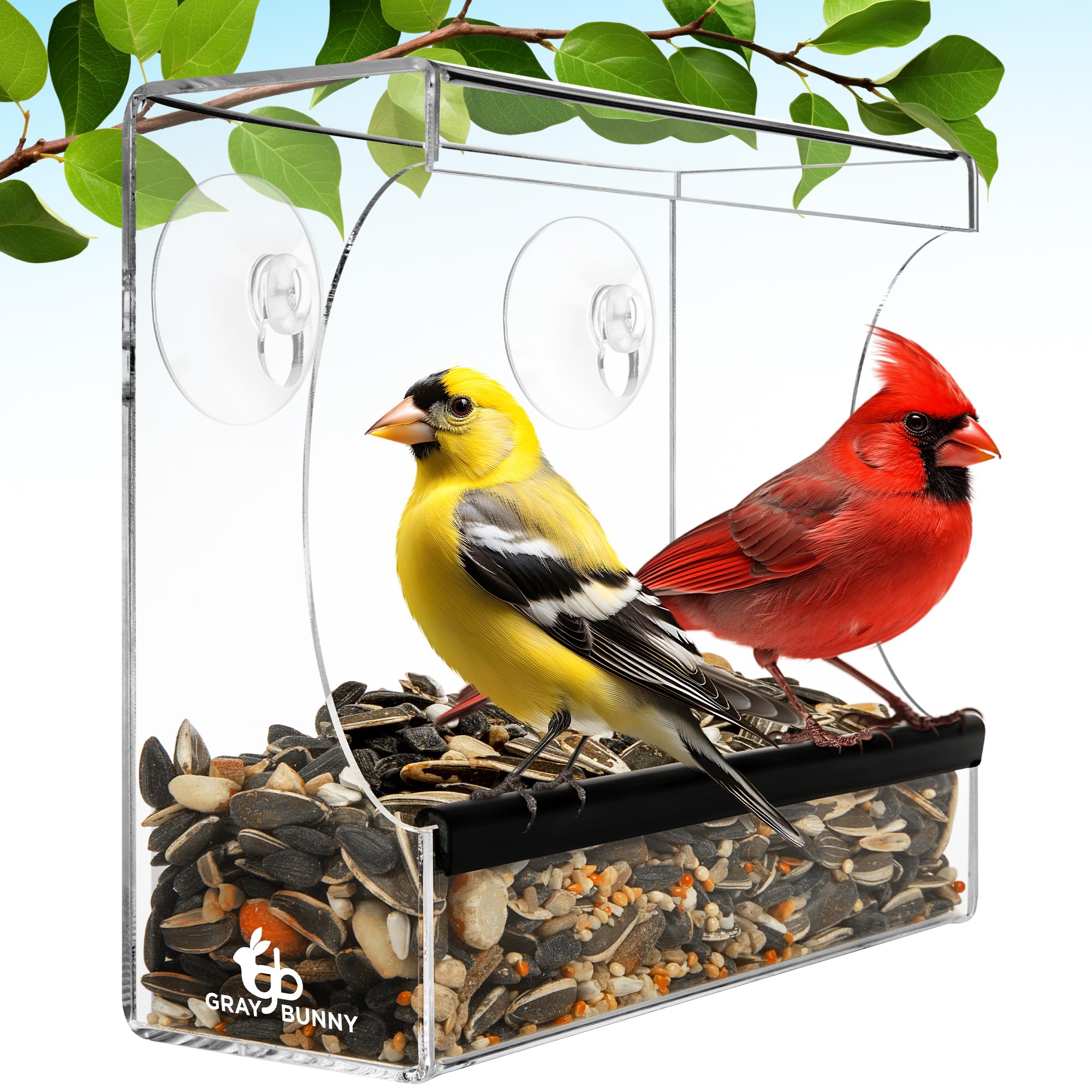 Photo 1 of Clear Window Bird Feeder - Premium Bird Feeder for Outdoors with Strong Suction Cups with Drain Holes and Large Seed Capacity