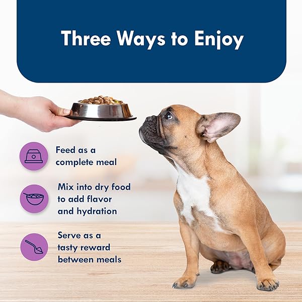 BLUE BUFFALO DELIGHTS NATURAL ADULT SMALL BREED WET DOG FOOD CUPS, PATE STYLE, TOP SIRLOIN FLAVOR IN SAVORY JUICE 3.5-OZ (PACK OF 12)