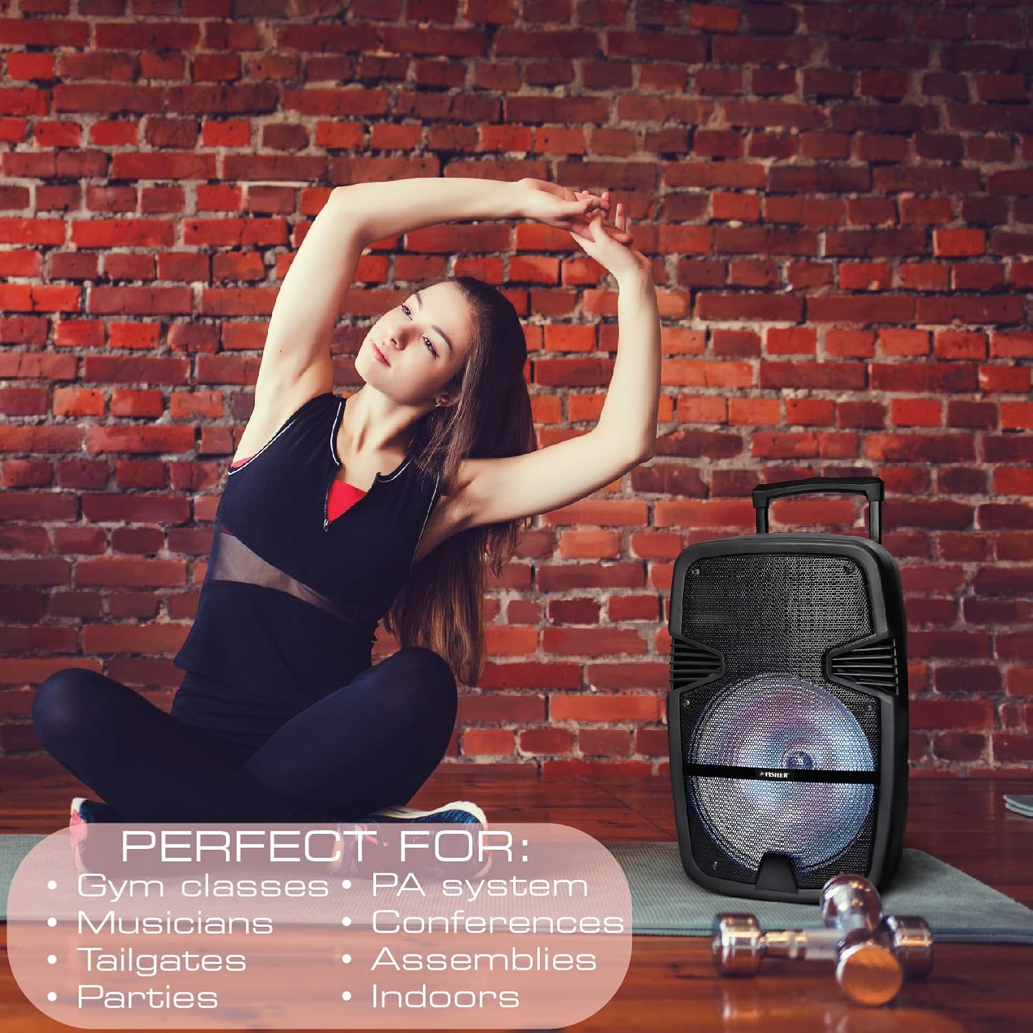 fisher 2600 watt portable speaker