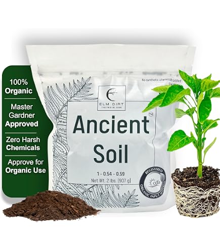 Amazon.com : Elm Dirt Premium Bloom Soil - Organic Plant Soil for Indoor &  Outdoor Use | Enhances Plant Growth & Nutrients - Big Bloom Activator, 2  lbs : Patio, Lawn & Garden