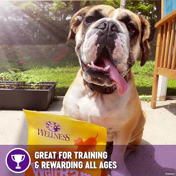 WELLNESS WELLBARS DOG TREATS, NATURAL, TRAINING TREAT, GRAIN FREE, CRUNCHY YOGURT, APPLES & BANANA (45 OUNCE BAG)