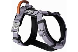 MADE TO ROAM Premium Explorer Harness - Y-Shaped Dog Harness with Adjustable Durable Nylon, Soft Padding, Metal Buckles and Leather Handle for Small, Medium, Large Dogs (Montana Moonrise, Size 5)