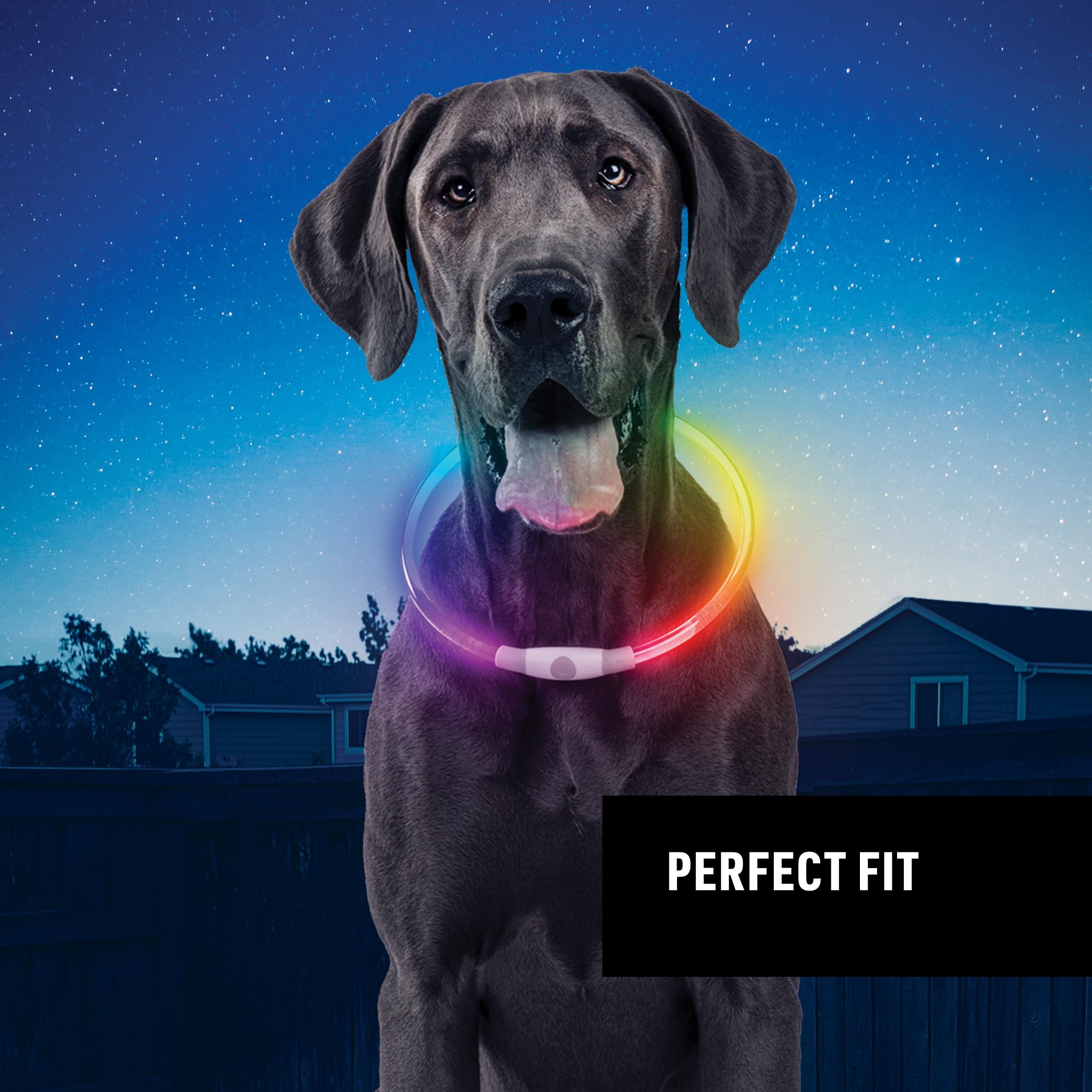 LED Safety Necklace