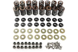 Gasekan SK001S 660" Dual Valve Spring Platinum Kit with Retainers Fit For LS LS1 LS2 LS3 LS4 LS6 L76 L92 L99 LQ4 LQ9 L33 LSA 4.8L 5.3L 6.0L 6.2L SK001