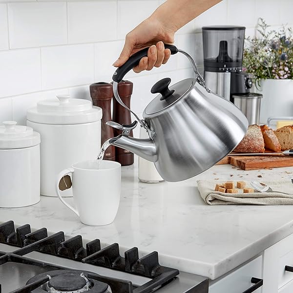 Top 10 Best Tea Kettles For The Money 2019 Reviews