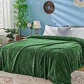 inhand Fleece Queen Blanket for Bed, Super Soft Flannel Cozy Queen Bed Blanket for Adults, Washable Lightweight Fuzzy Bed Blanket for Office, Warm Plush Blankets for All Season (90"×90", Green)
