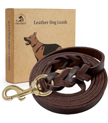 Amazon.com : Leatherow 10 FT Braided Full Grain Leather Dog Leash, Heavy  Duty Long Training Lead for Large Medium Small Dogs, Soft Strong Leather  Leash for Walking, Hiking, Obedience Control (Dark Brown) :