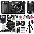 Sony Alpha a6100 24.3MP Mirrorless Camera 16-50mm & 55-210mm Zoom Lens (Black) and 64GB Accessory Bundle
