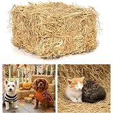 Natural Wheat Straw &ndash; 1 LB Clean Dry Straw Bale for Stray Cats &amp; Dogs | Warm Straw for Cat Shelter, Soft Straw Bedding for Cats, Chicken Coop, Hay Bales for Decoration and Thanksgiving Decor