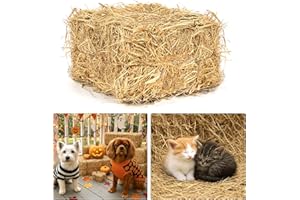 BOBBLET Natural Wheat Straw – 1 LB Clean Dry Straw Bale for Stray Cats & Dogs, Soft Straw Bedding for Cat Shelter, Hay Bales for Decoration, Yard or Farm Use