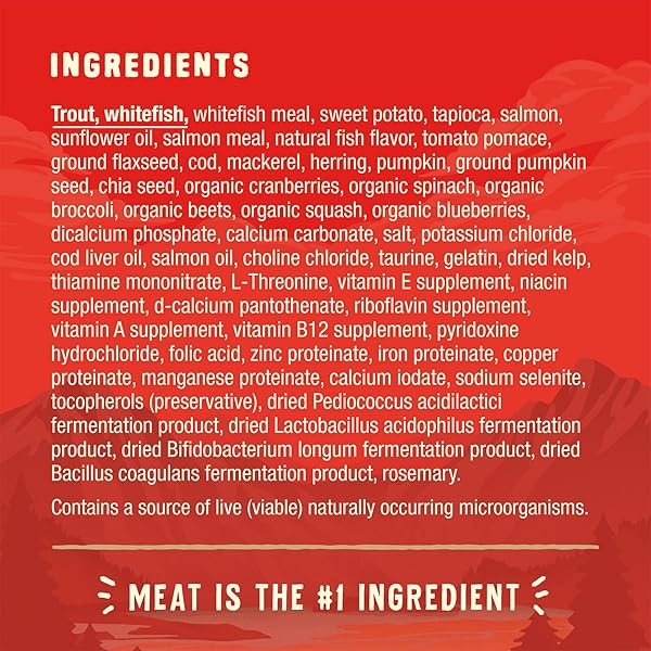 STELLA & CHEWY’S WILD RED DRY DOG FOOD RAW COATED HIGH PROTEIN GRAIN & LEGUME FREE OCEAN RECIPE, 3.5 LB. BAG