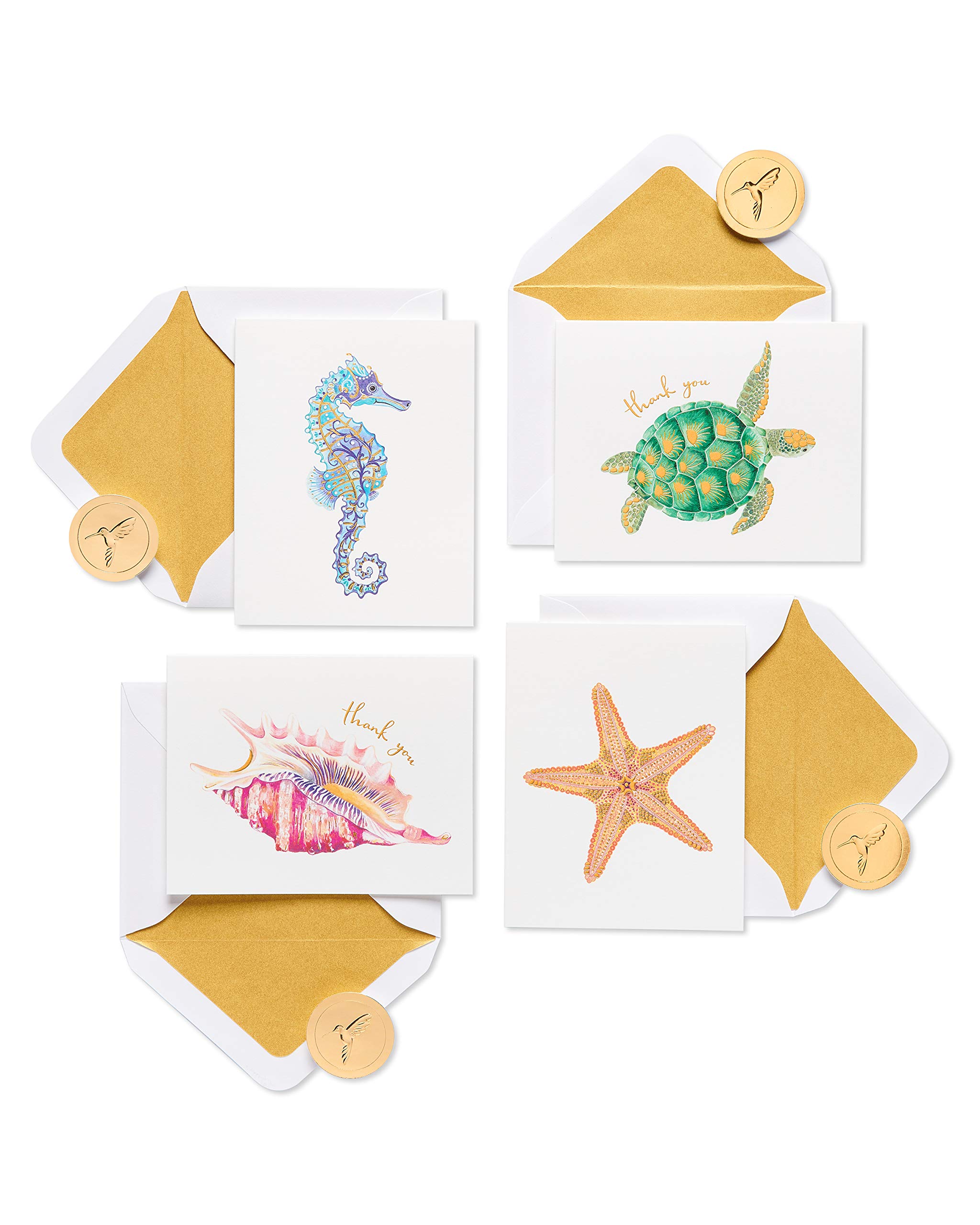 Papyrus Boxed Blank Cards with Envelopes, Sea Creatures (20-Count)