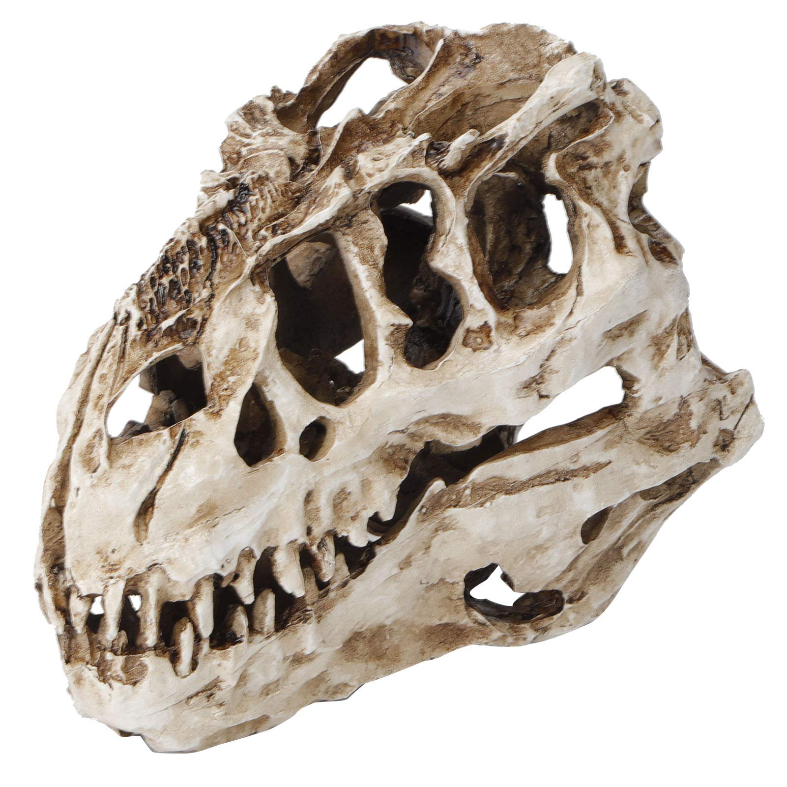 GAESHOW Dinosaur Skull Model Resin Dinosaur Skull, Dinosaur Tooth Skulls Fossil, Animal Skeleton Ornaments Props, Simulated Animals Skeleton Home Office Display Decorative Craft