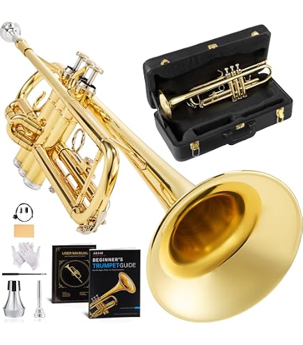 Amazon.com: TRUMPET Bb PITCH BRASS GOLD LOOK WITH FREE HARD CASE