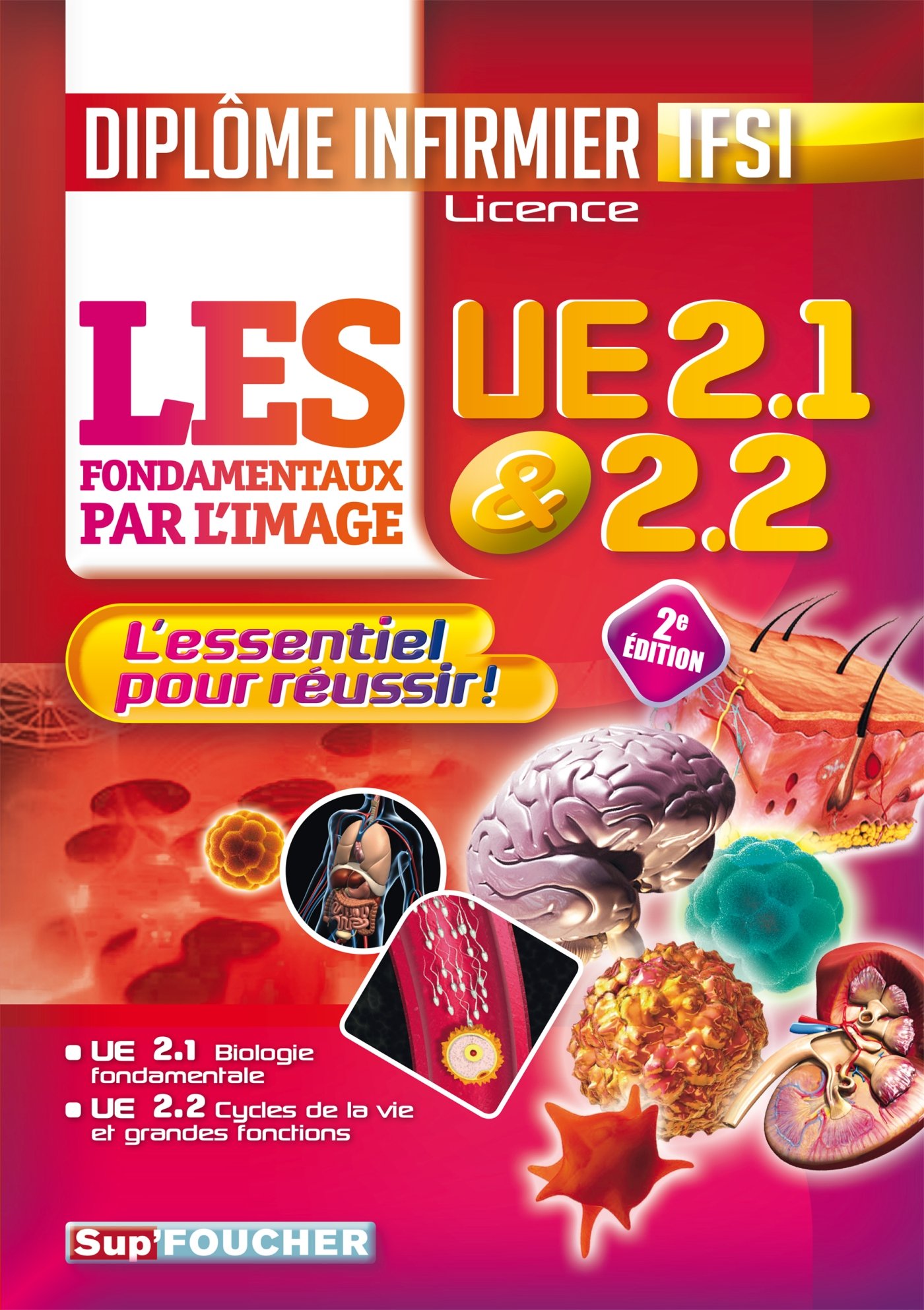 Amazon Fr Les Fondamentaux Par L Image L Ue 2 1 Et 2 2 Diplome D Etat Infirmier Ifsi L Essentiel Pour Reussir Bourgeois Patrice Planells Richard Abbadi Kamel Livres