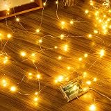 Ollny 5m 50 LED Battery Fairy Lights Copper Wire Warm White