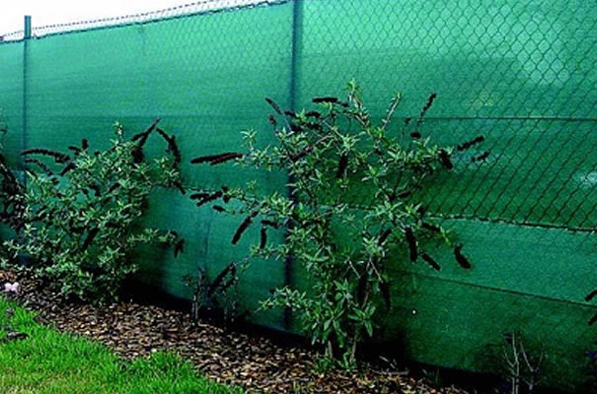 Riegolux 107659 Hidden mesh, Green, 2 x 5 m, 70 g/m2