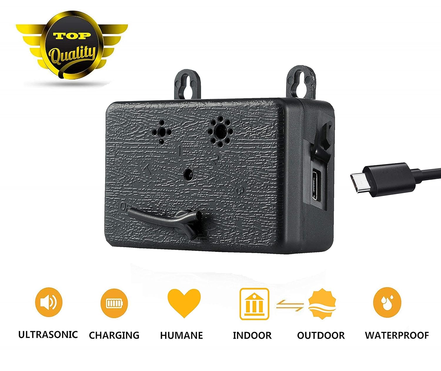 personalised whippet collars