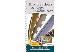 Bird Feathers & Eggs of the Northeast: Identify 40 Species of Common Backyard Birds
