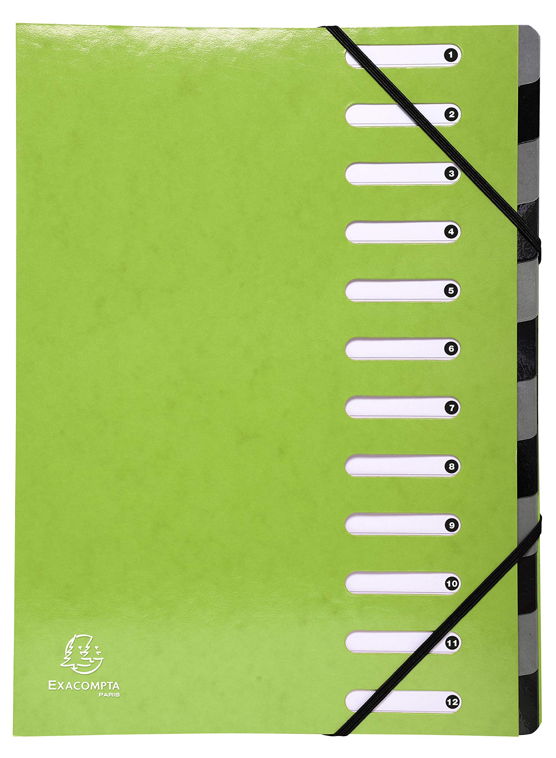 Exacompta - Ref 53923E - Iderama Collection - Harmonika Multipart File - 245 x 320mm in Size, Suitable for A4 Documents, 12 Multicoloured Tabbed Sections - Anise Green