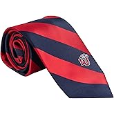Desert Cactus Liberty University Neck Tie LU Flames 100% Polyester Necktie with Logo, Officially Licensed