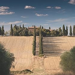 Maestri Pastai, Gourmet Rigatoni "Ridged