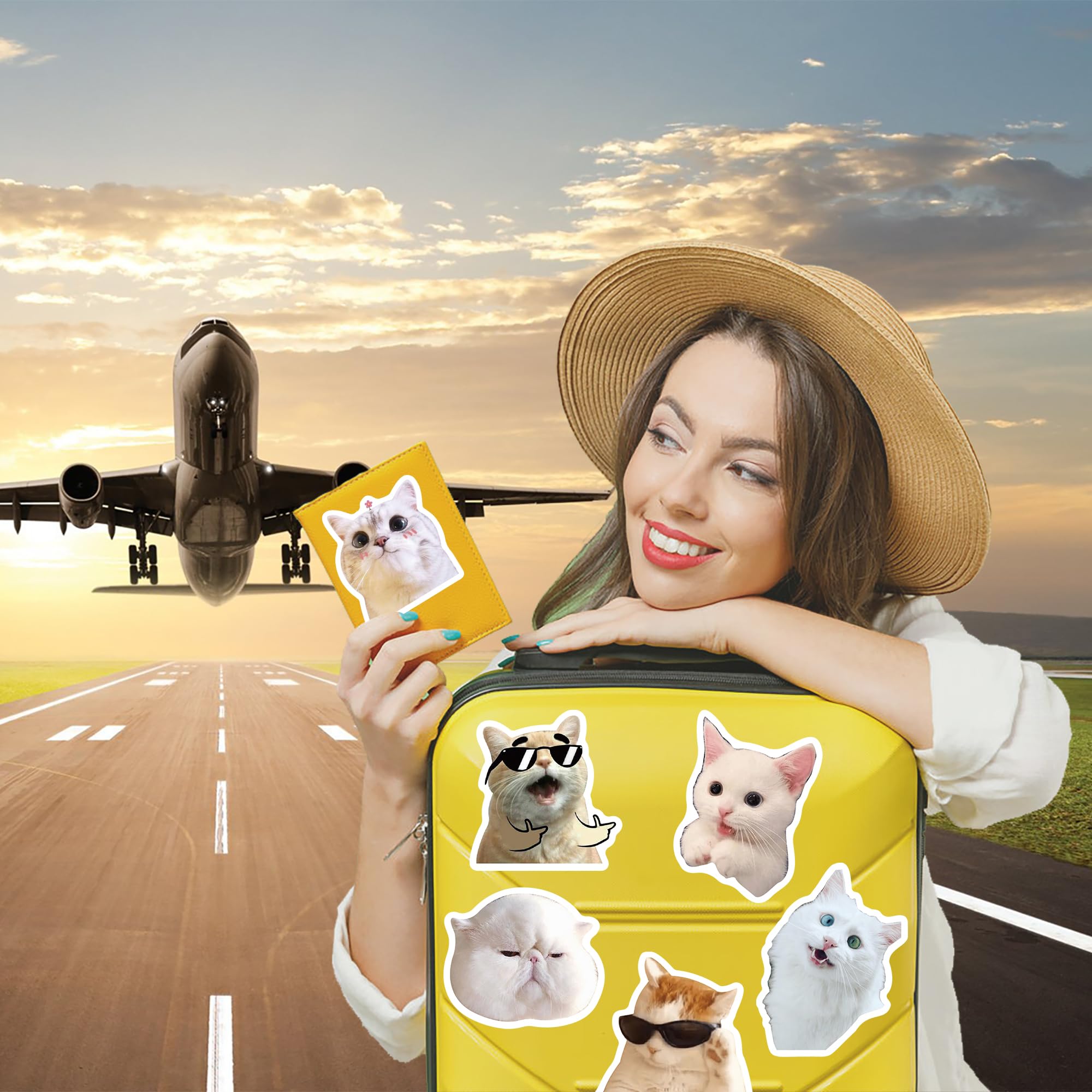 Mua 100 Pcs Cat Meme Stickers, Funny Cat Stickers, Cute Cat Stickers ...