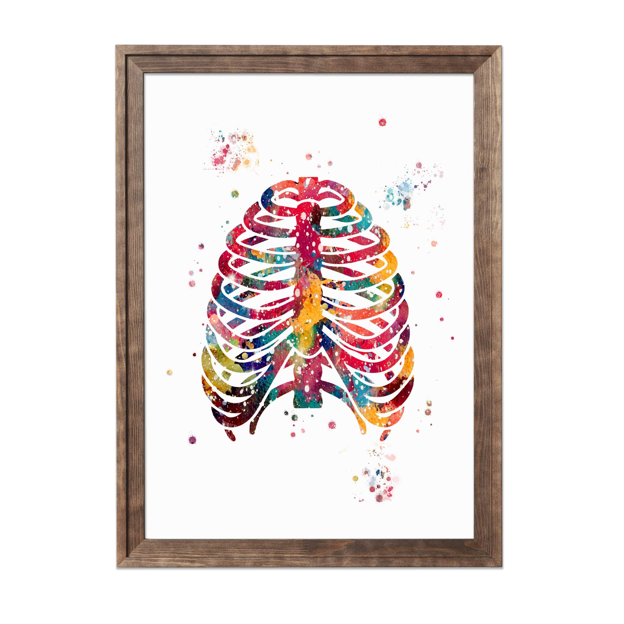 Mua Human Anatomy Watercolor Art 8x10 Unframed Print Set Brain Skull ...