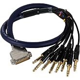 DEANFINN 3.28ft/1m DB25 Male to 8 Channel &frac14;&rdquo; 6.35mm TRS Snake Cable, Professional Low Noise Stereo Audio Adapter Extension Cable, Gold Plated Pin